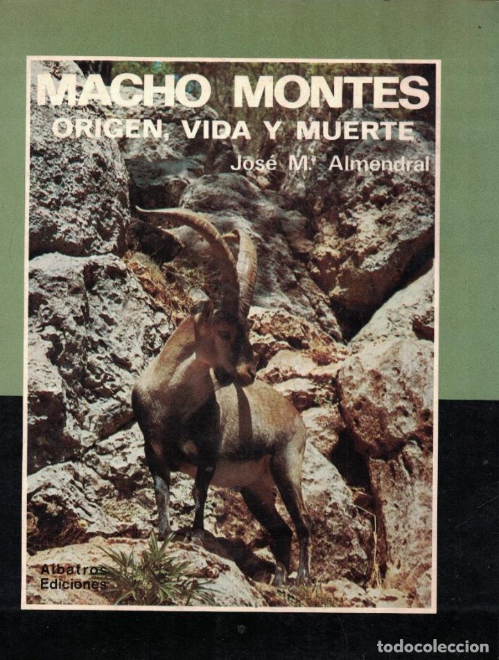 Libros: MACHO MONTES ORIGEN, VIDA Y MUERTE. - Almendral. Jos&eacute; M.&ordf; - Foto 1