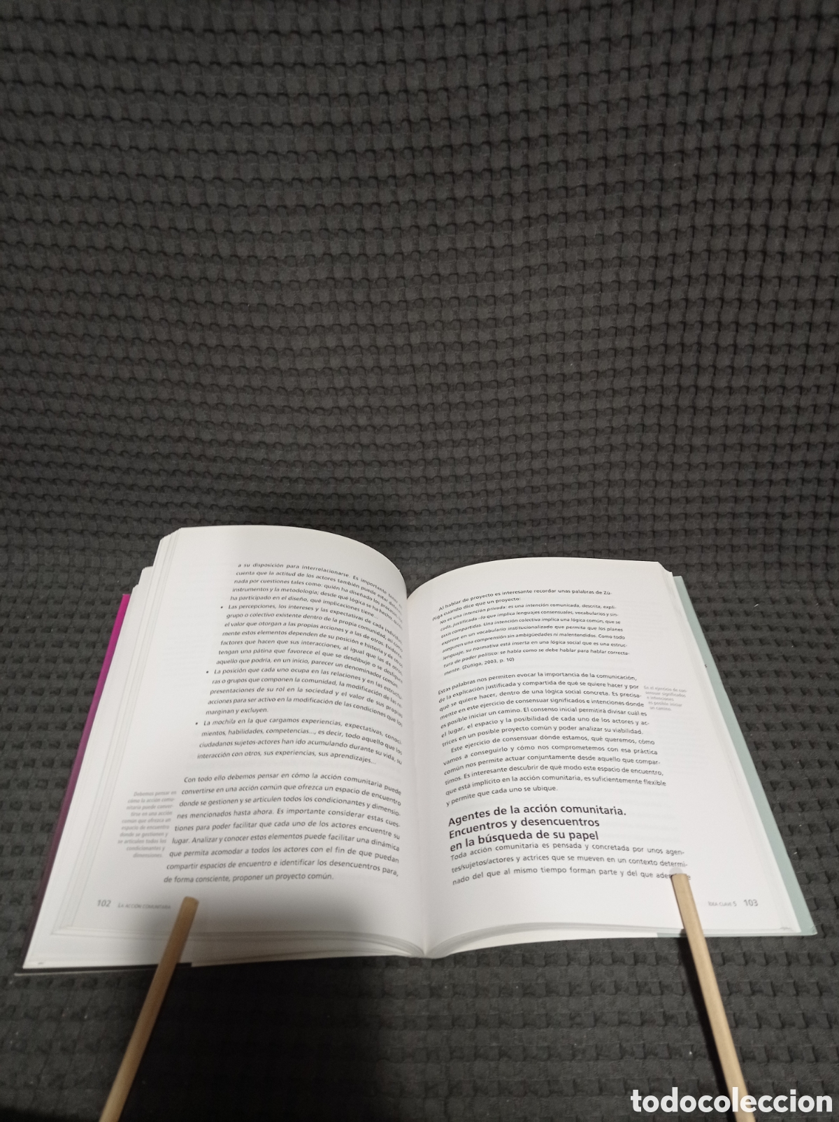 Libros: 10 ideas clave. La acci&oacute;n comunitaria. - Foto 4
