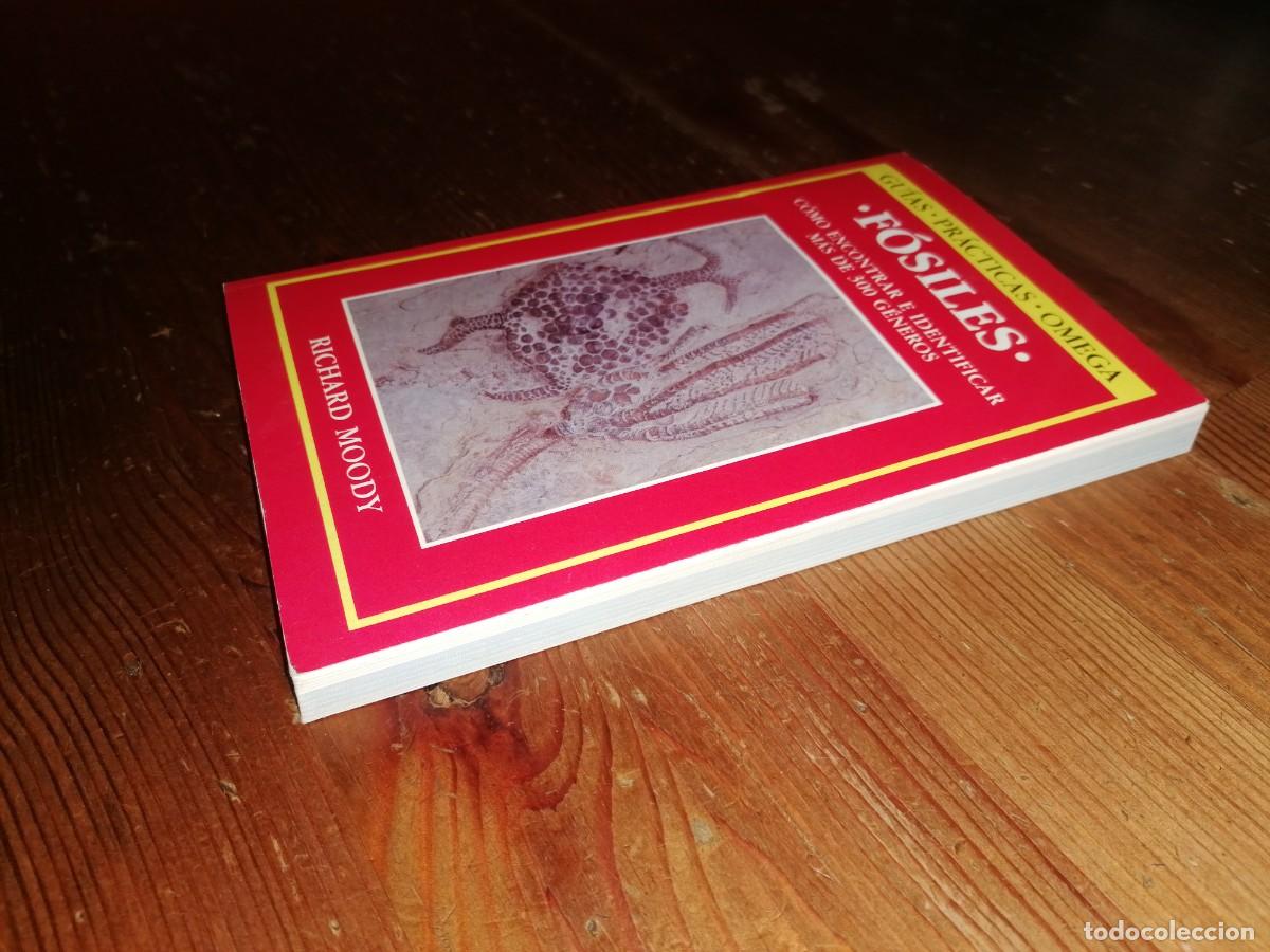 Libros: F&Oacute;SILES - RICHARD MOODY - GU&Iacute;AS OMEGA - Foto 2
