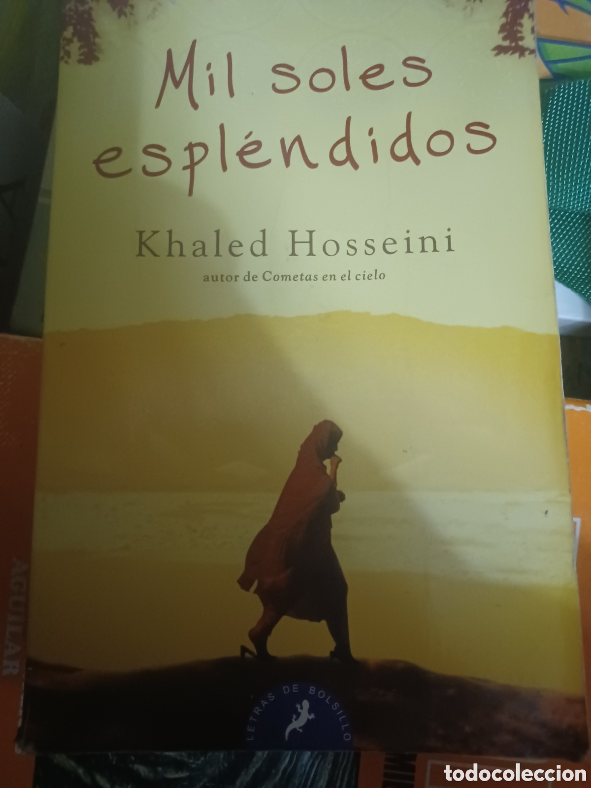 Libros: Barybook C47. mil.soles y espl&eacute;ndidos khaled hosseini - Foto 1
