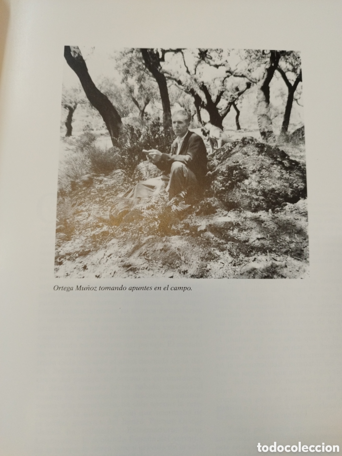 Libros: ORTEGA MU&Ntilde;OZ - Foto 4