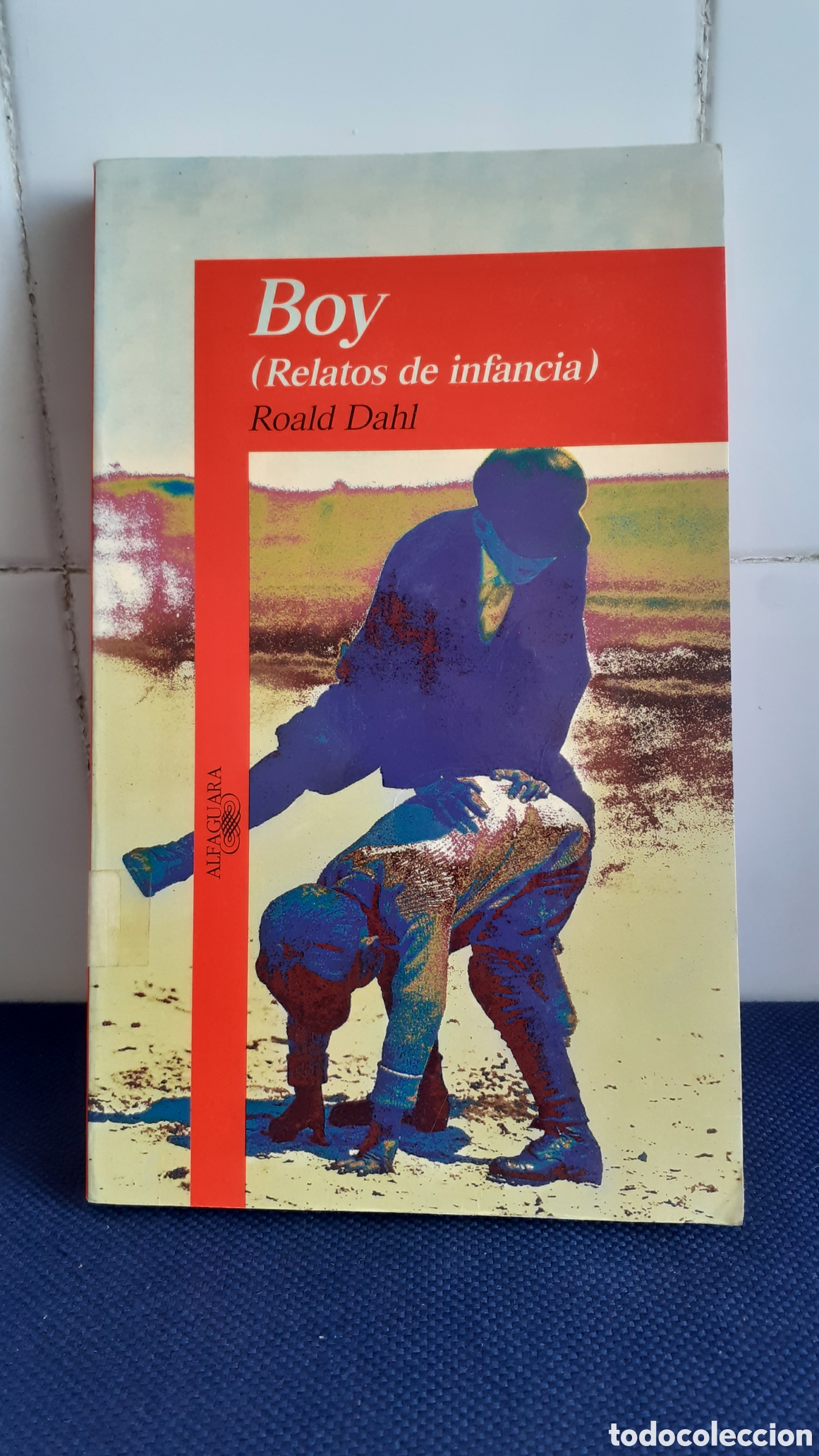 Libros: BOY RELATOS DE INFANCIA, ROALD DAHL, ESTADO ACEPTABLE - Foto 1