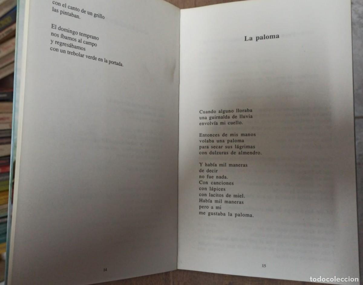Libros: Agua florida - MARTA GIM&Eacute;NEZ PASTOR - Foto 2