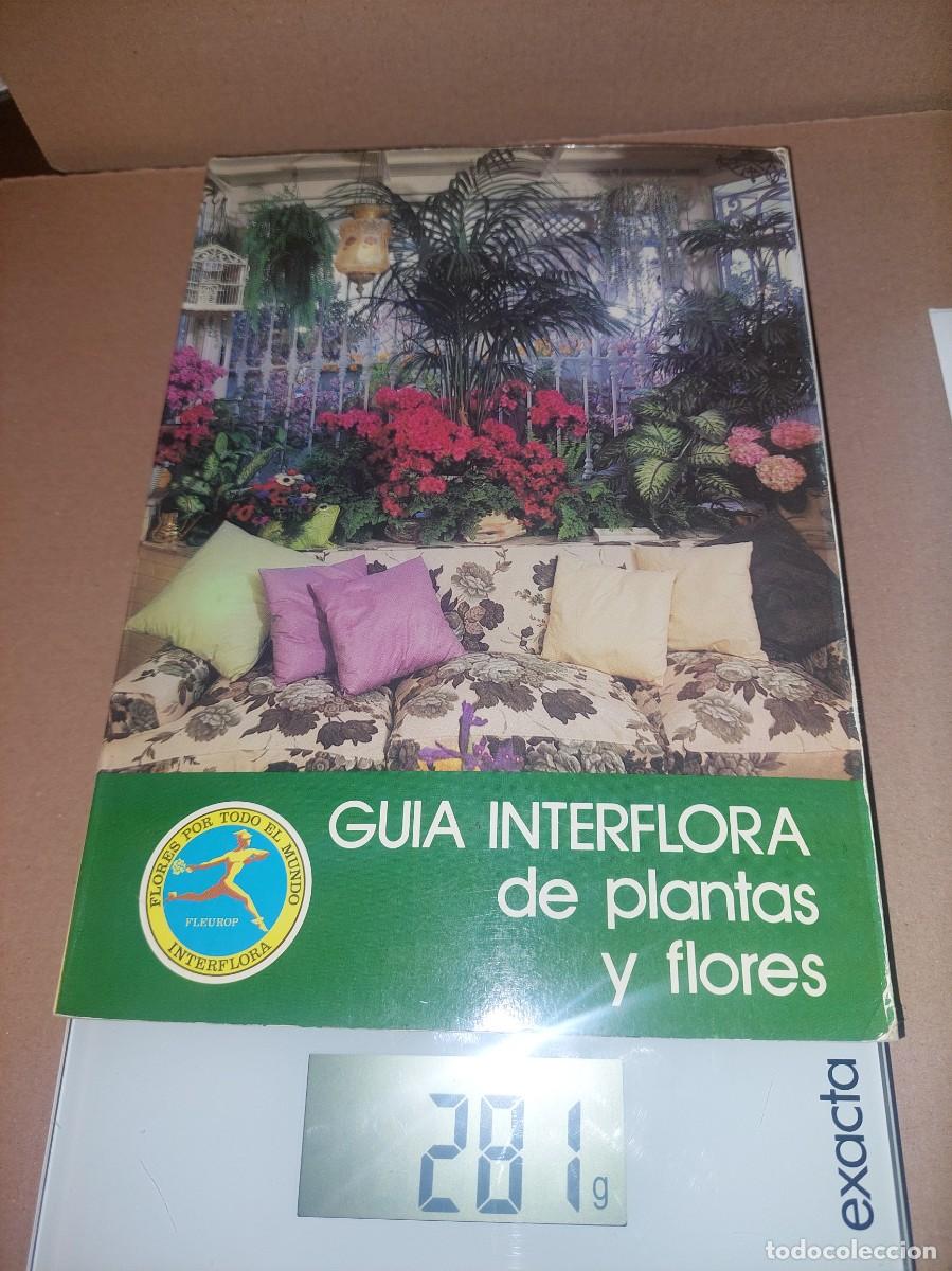 Libros: GU&Iacute;A INTERFLORA DE PLANTAS Y FLORES - Foto 1
