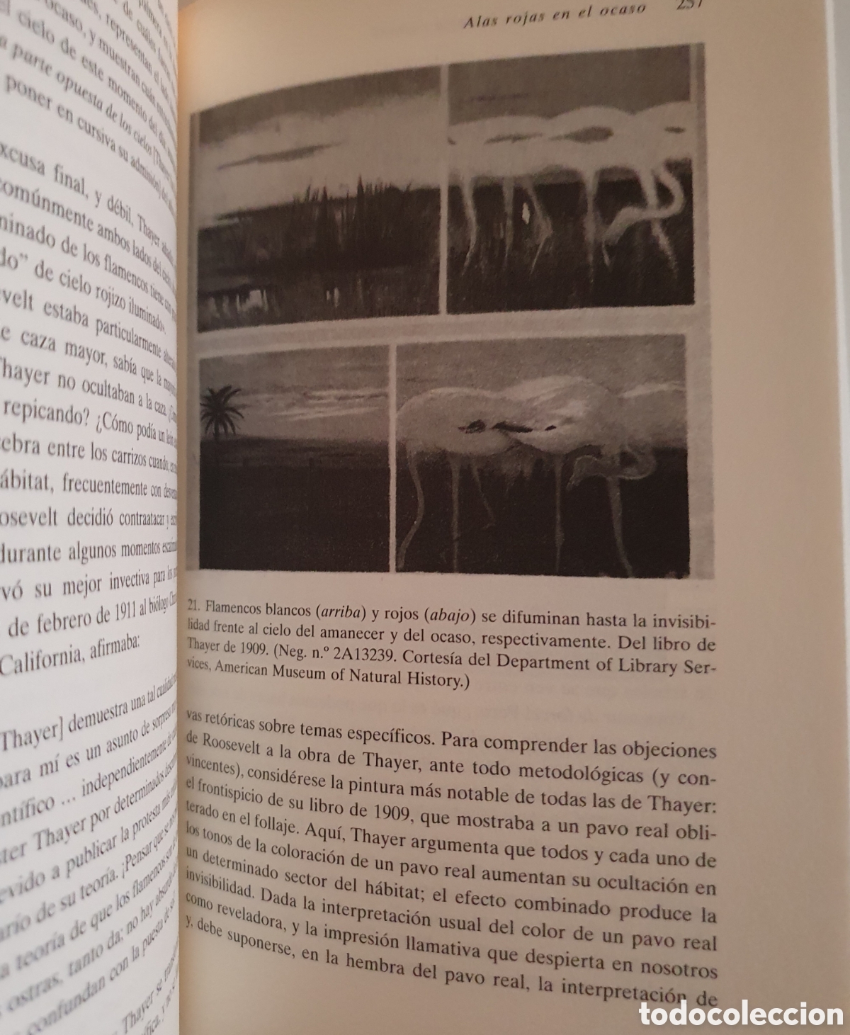 Libros: Stephen jay gould brontosaurus y la nalga del ministro - Foto 6