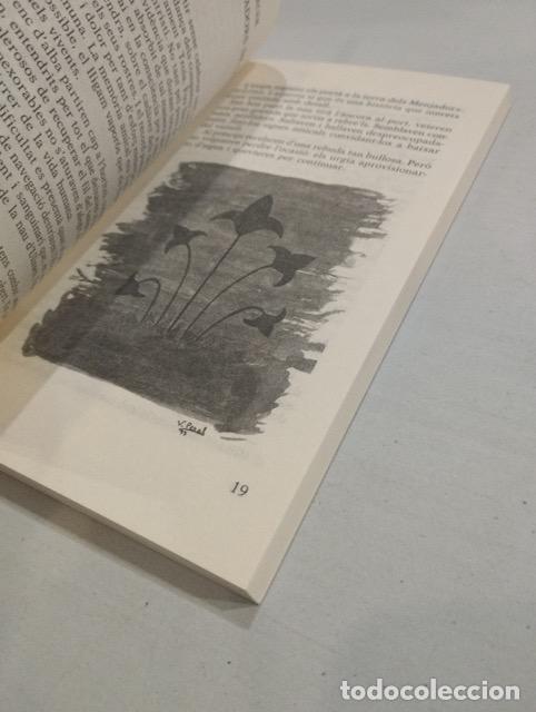 Libros: Teodor Suau - M&eacute;s important que la meta &eacute;s el cam&iacute; - Foto 2