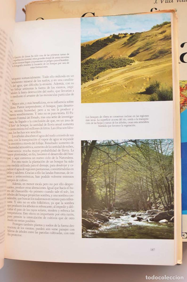 Libros: Geograf&iacute;a de Espa&ntilde;a - VIL&Aacute; VALENT&Iacute;, Juan - Foto 5