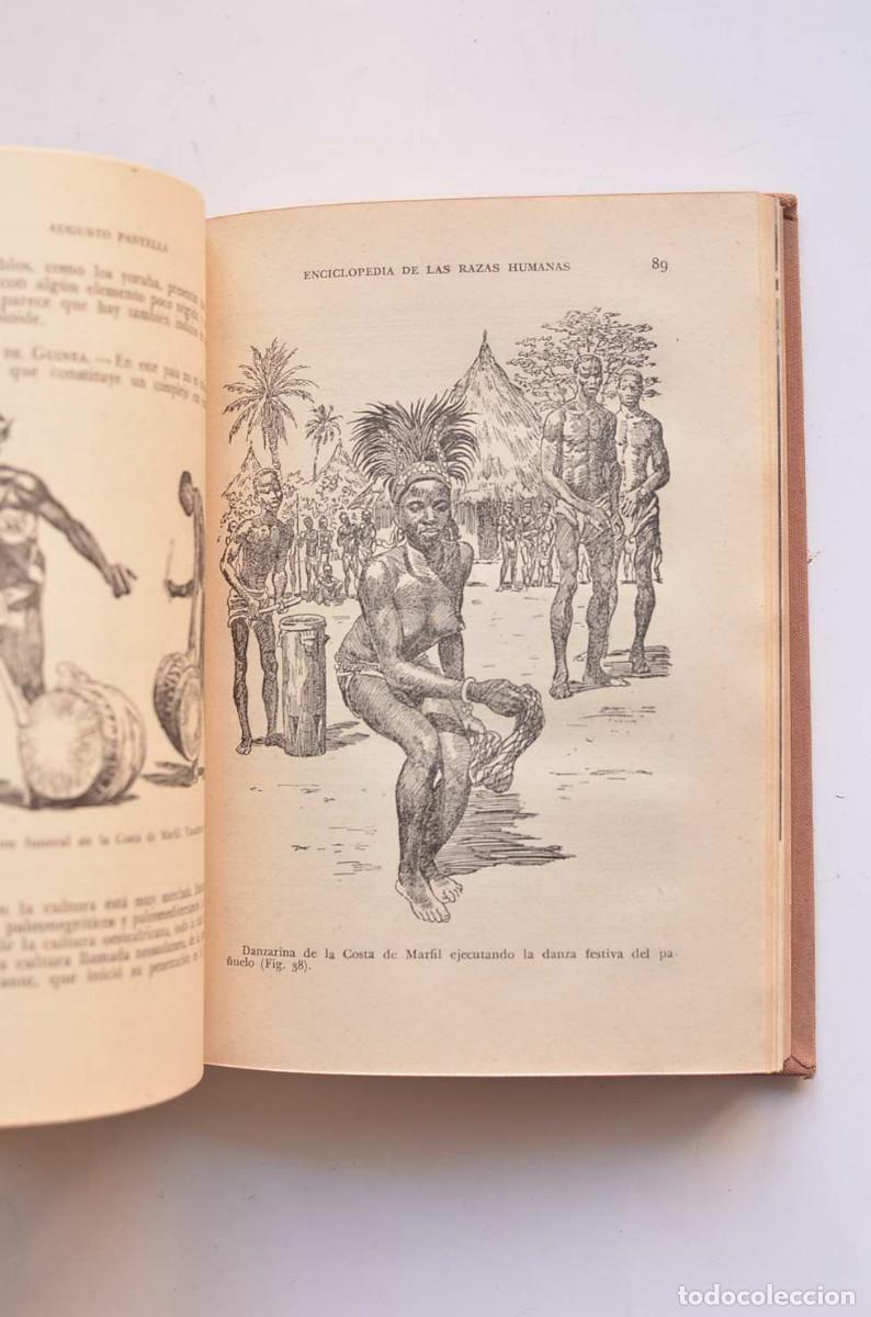 Libros: Enciclopedia de las razas humanas - PANYELLA, Augusto - Foto 3