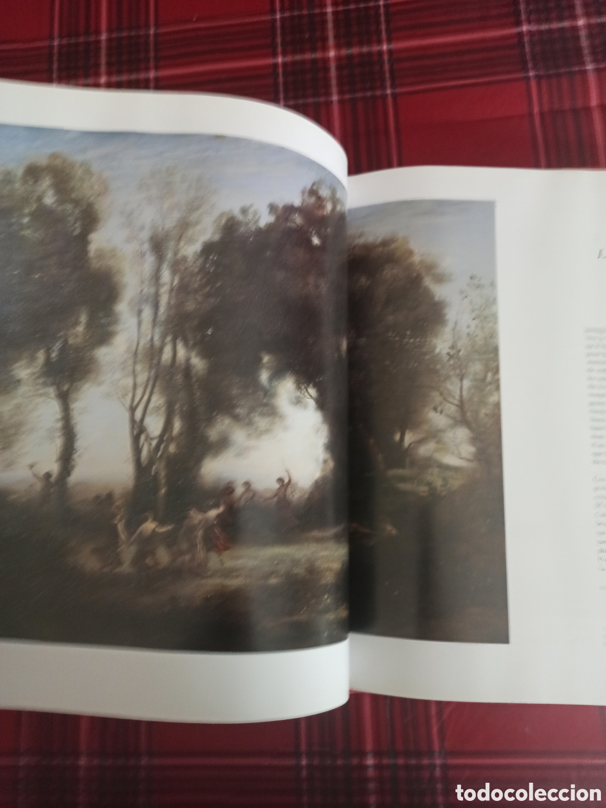 Libros: COROT - en idioma franc&eacute;s - Foto 4