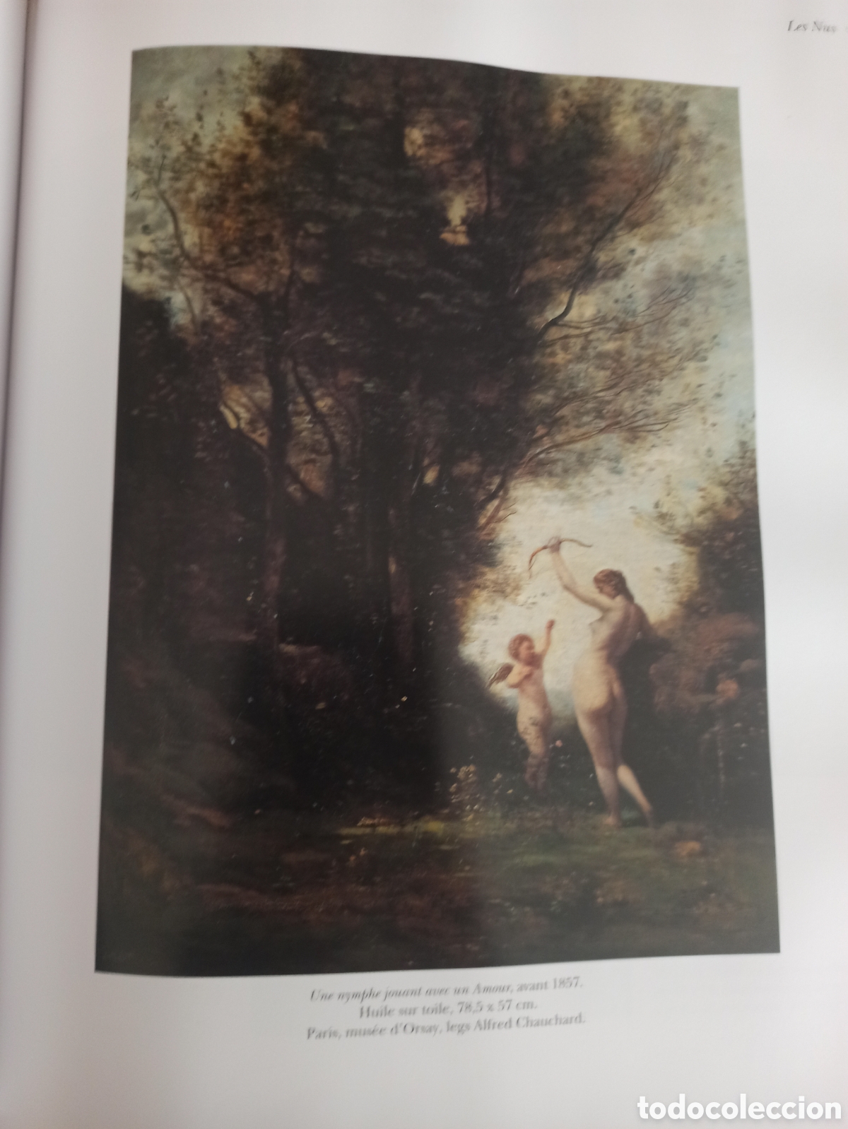Libros: COROT - en idioma franc&eacute;s - Foto 6