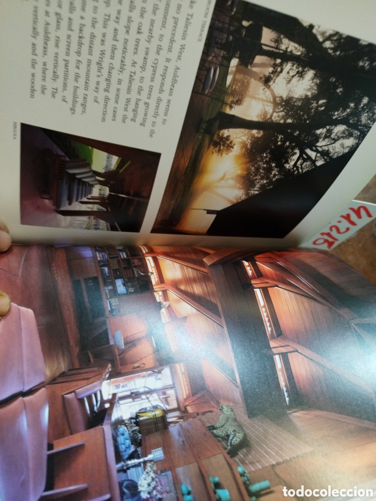Libros: FRANK LLOYD WRIGHT. Master Buider. Arquitectura - BROOKS PFEIFFER,Bruce - Foto 8