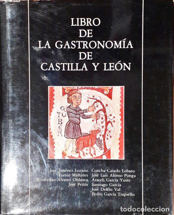 Libros: Libro de la gastronom&iacute;a de Castilla y Le&oacute;n - VVAA - Foto 1
