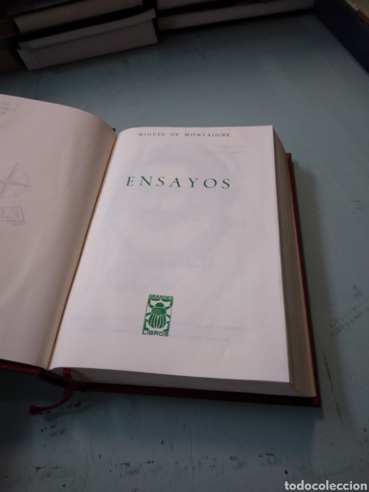 Libros: Miguel de Montaigne, Ensayos,EDAF,1971 - Foto 3