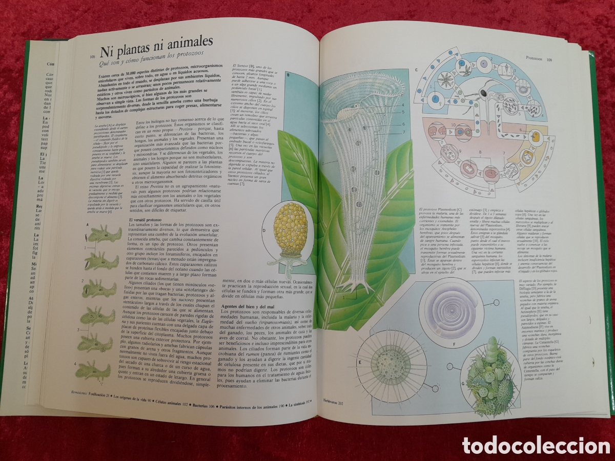 Libros: L-1883. C&Oacute;MO FUNCIONA LA NATURALEZA. C&Iacute;RCULO DE LECTORES. 1992 - Foto 5