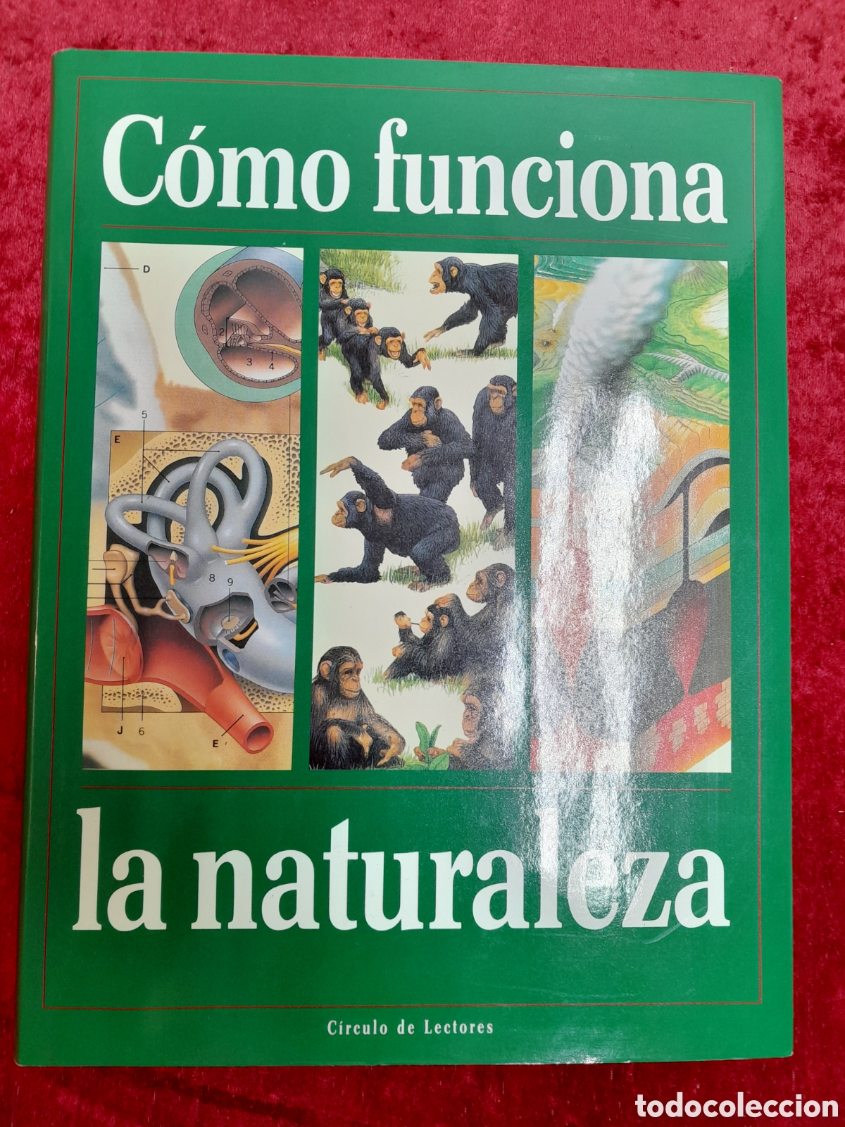 Libros: L-1883. C&Oacute;MO FUNCIONA LA NATURALEZA. C&Iacute;RCULO DE LECTORES. 1992 - Foto 1