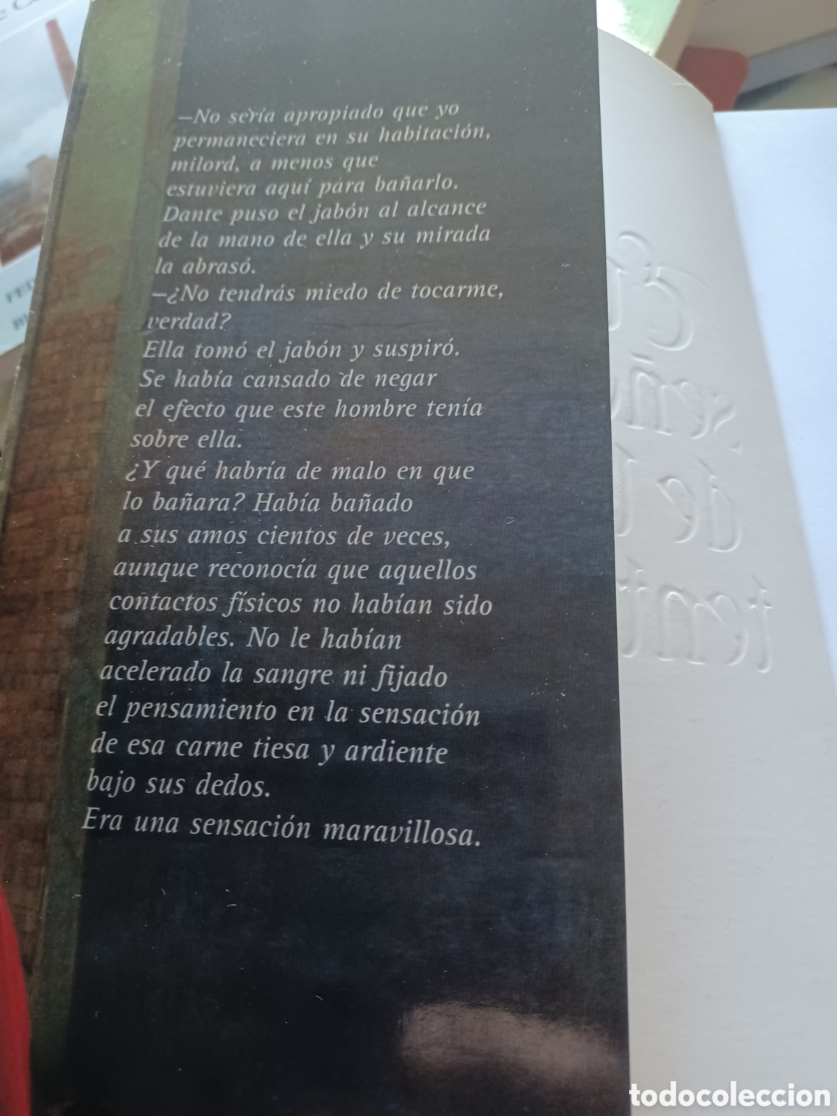 Libros: Barybook 105 El se&ntilde;or de la tentaci&oacute;n Paula Quinn - Foto 3