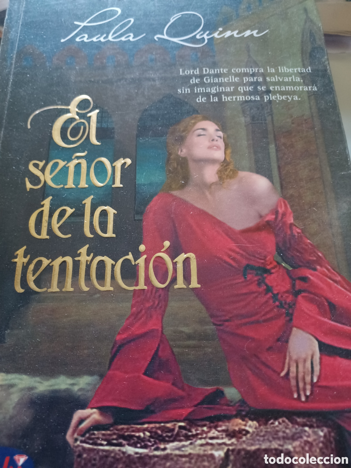 Libros: Barybook 105 El se&ntilde;or de la tentaci&oacute;n Paula Quinn - Foto 1