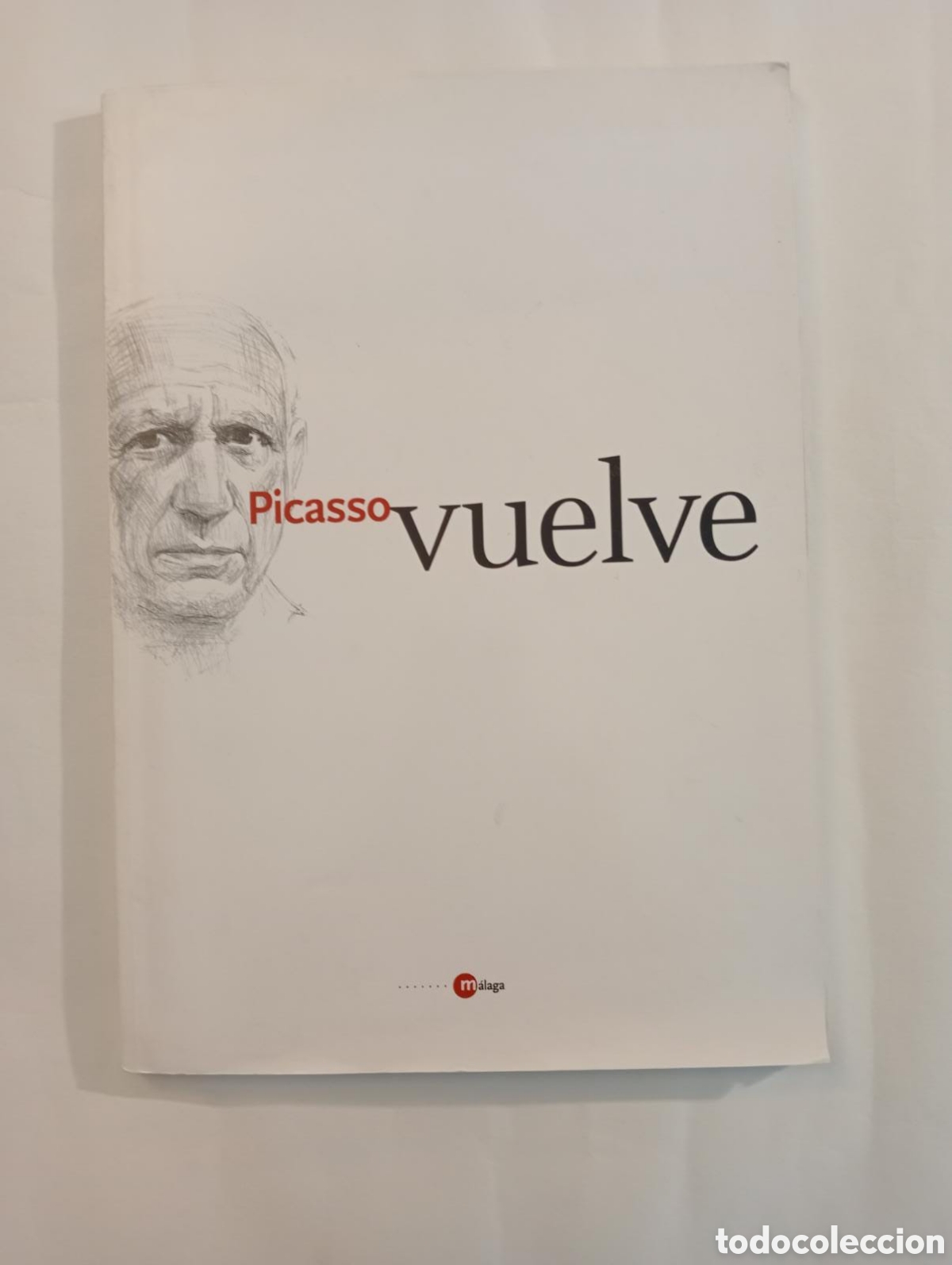 Libros: Picasso vuelve - Foto 1