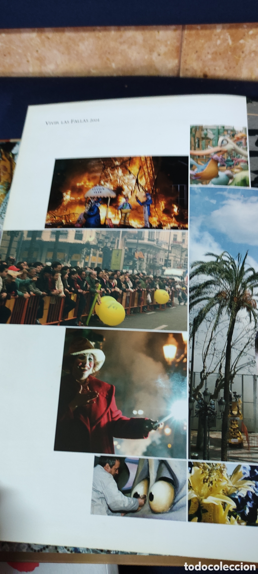 Libros: VIVIR LAS FALLAS - Foto 3