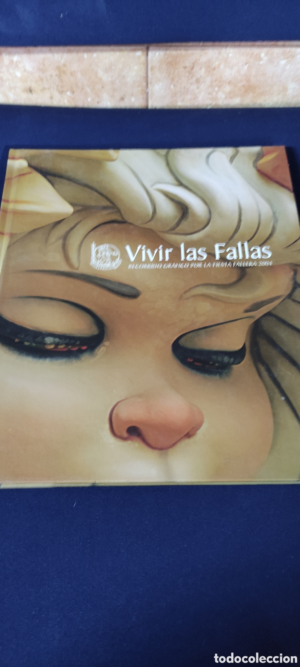 Libros: VIVIR LAS FALLAS - Foto 1