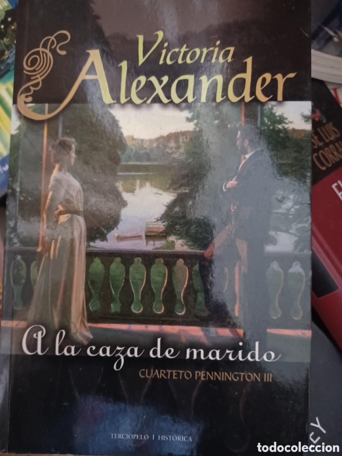 Libri di seconda mano: Barybook 108 A la caza de marido victoria Alexander terciopelo hist&oacute;rica