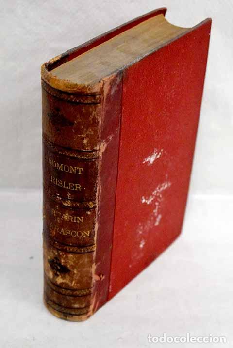 Libros: Fromont y Risler: novela de costumbres parisienses.- Daudet, Alphonse - Foto 1