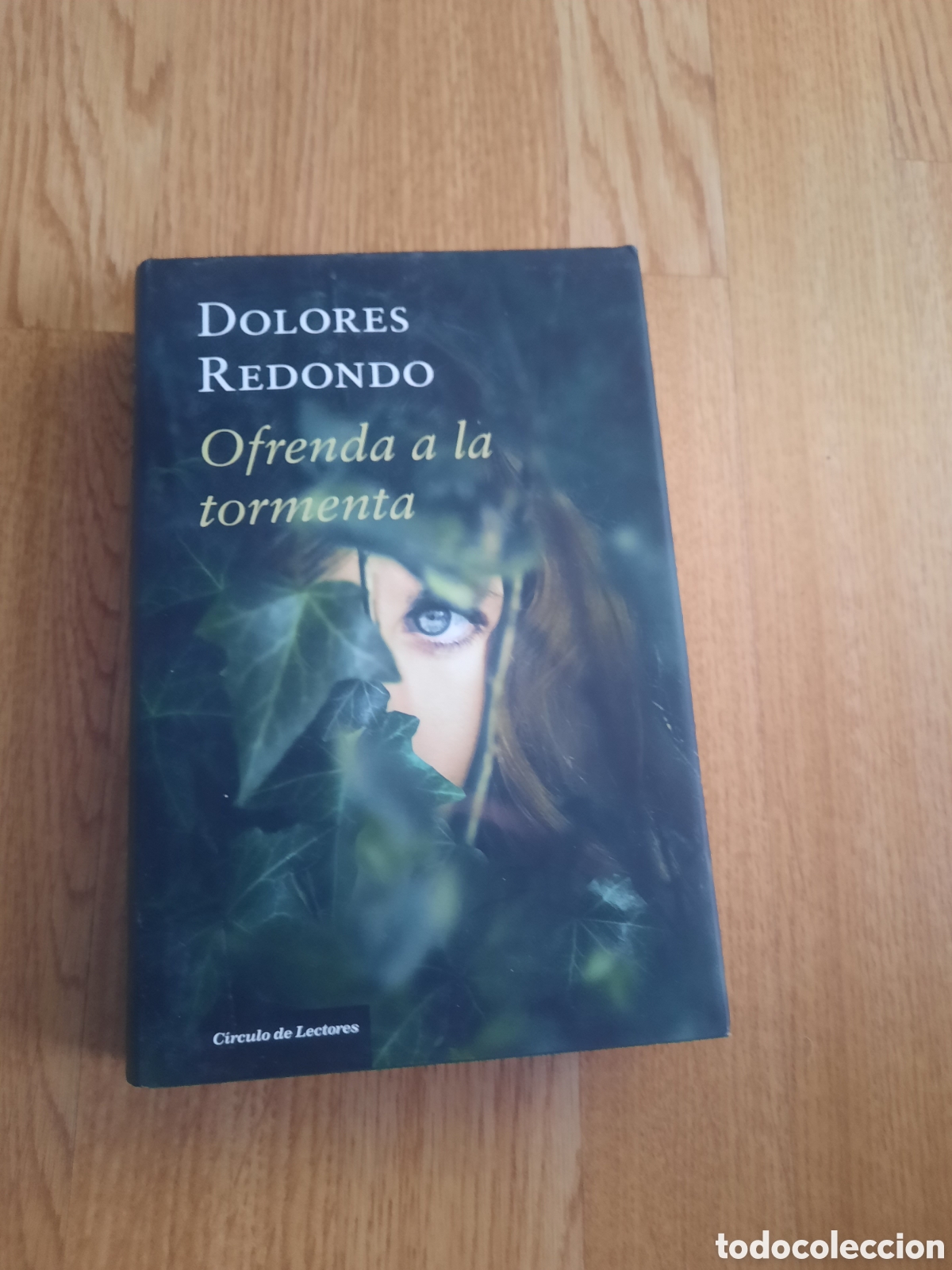 Libros: Ofrenda a la tormenta - Foto 1