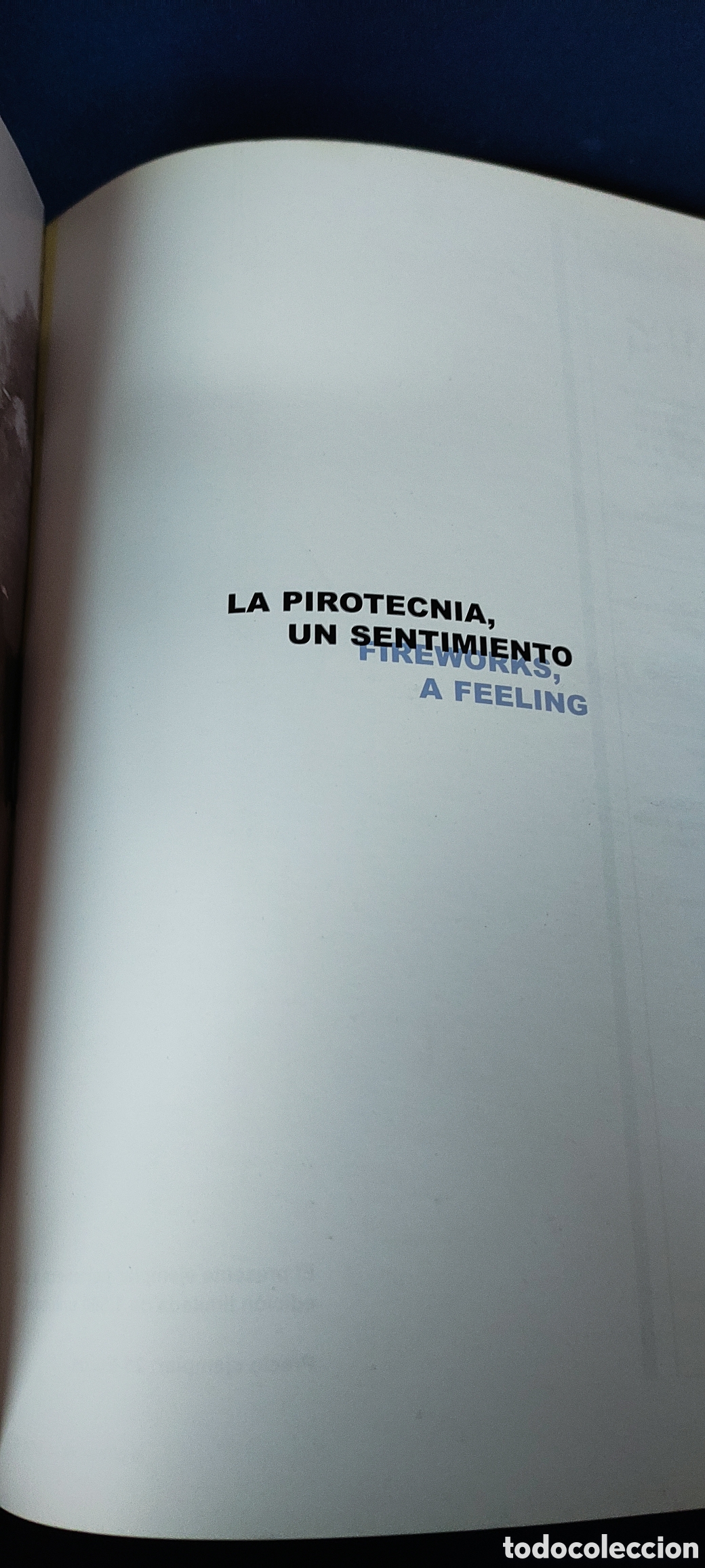 Libros: LA PIROTECNIA, UN SENTIMIENTO - Foto 6