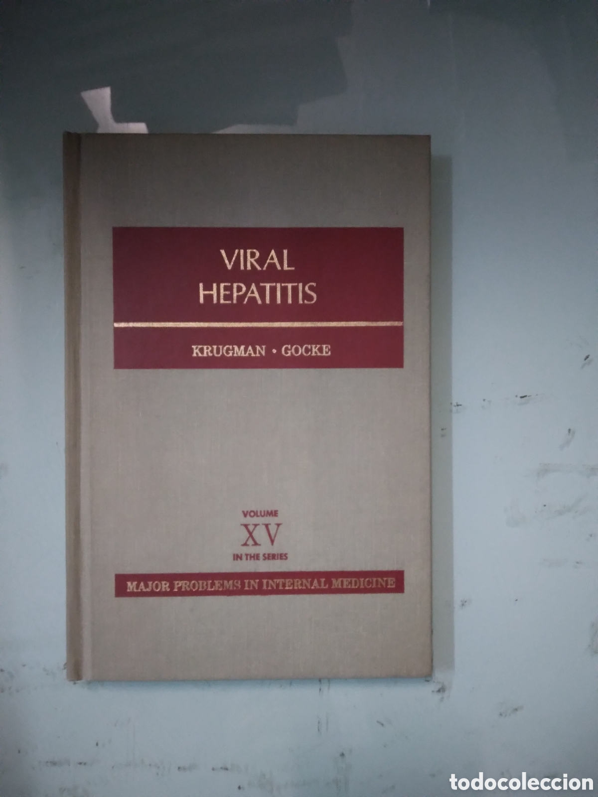 Libros: Viral hepatitis - Foto 1