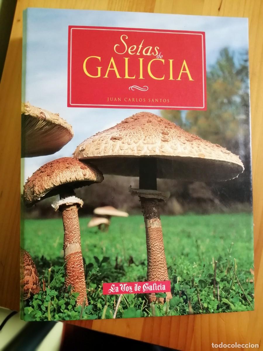 Libros: SETAS DE GALICIA - JUAN CARLOS SANTOS - Foto 1