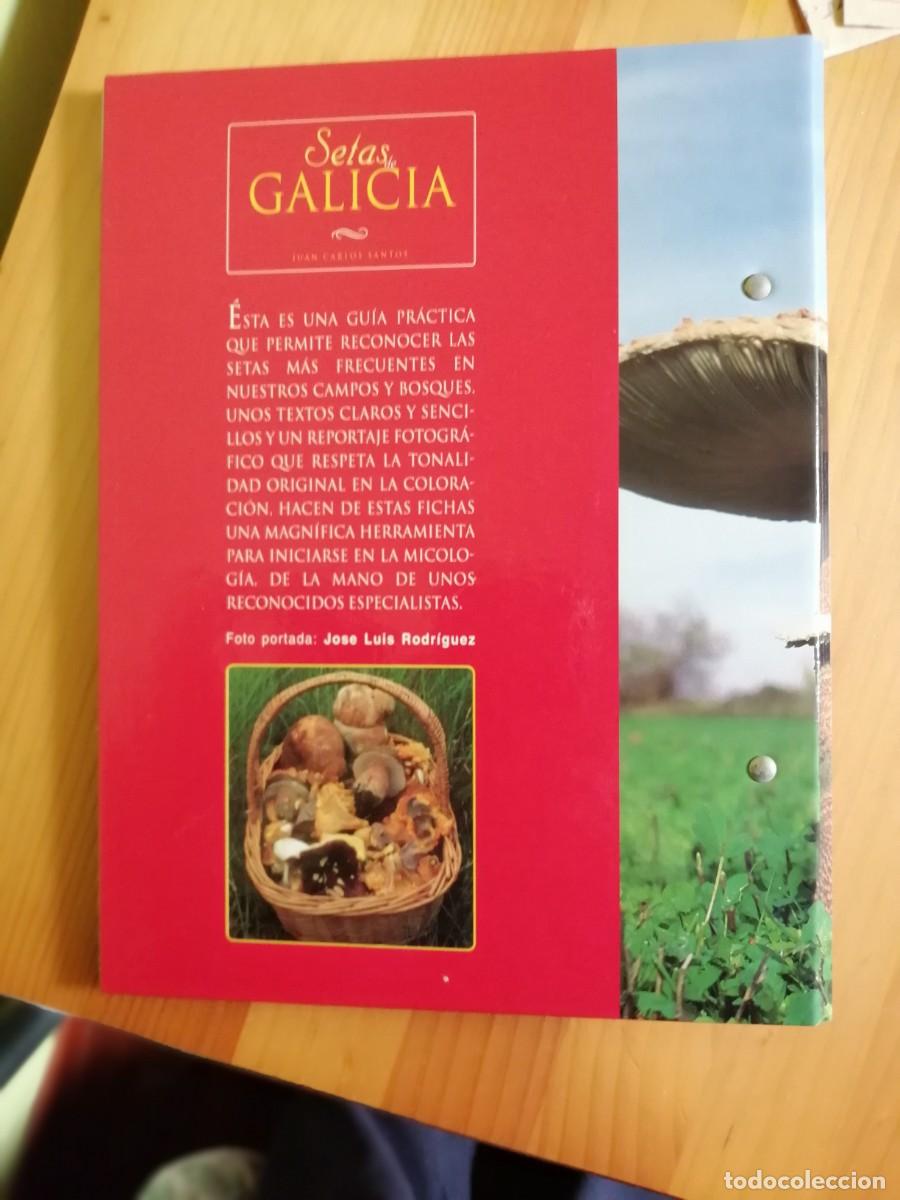 Libros: SETAS DE GALICIA - JUAN CARLOS SANTOS - Foto 2