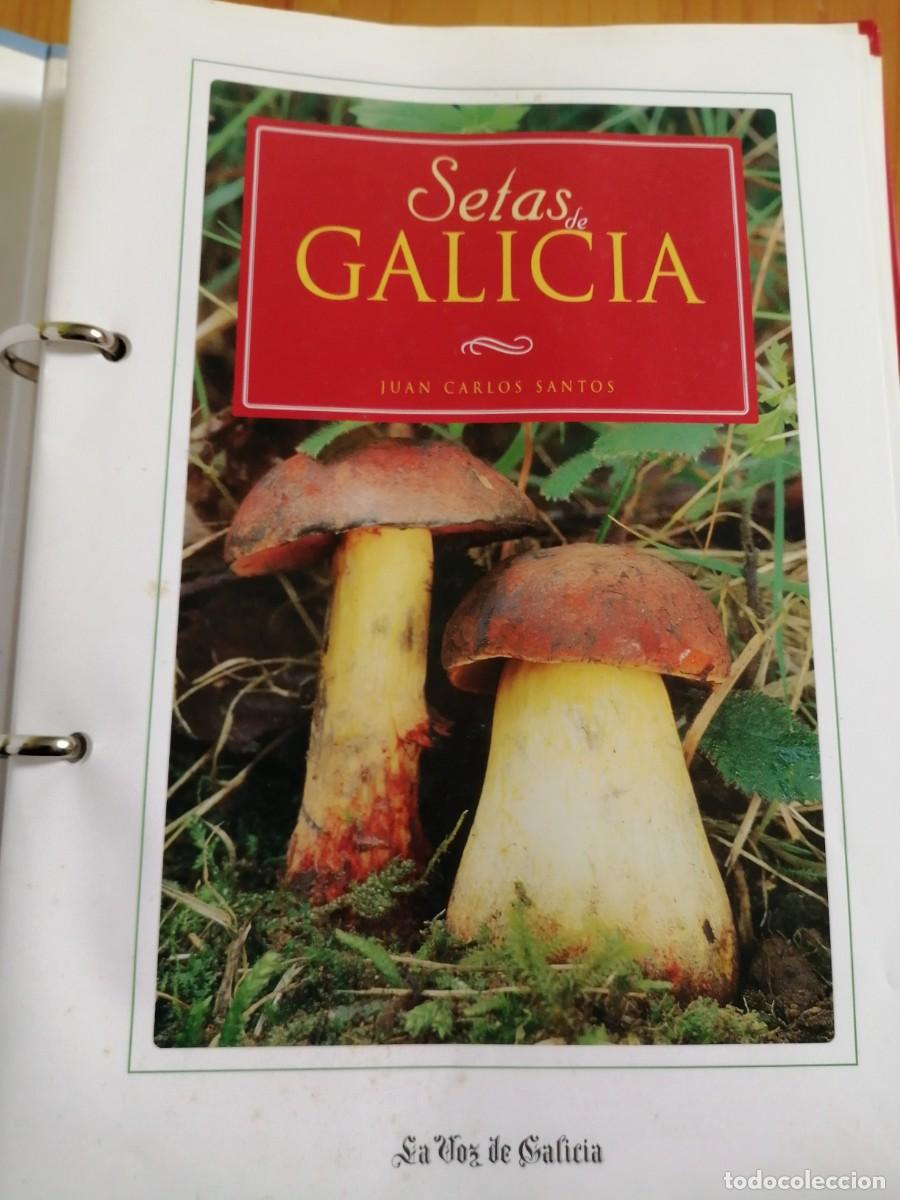 Libros: SETAS DE GALICIA - JUAN CARLOS SANTOS - Foto 3