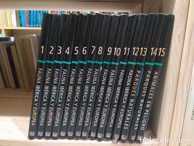Libros: Fauna Iberica y Europea - Foto 1
