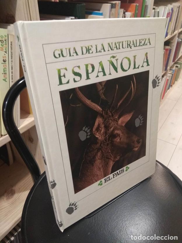 Libros: Guia de la Naturaleza Espa&ntilde;ola - Foto 1