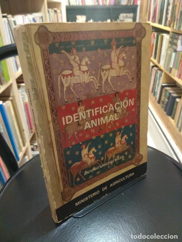 Libros: Identificaci&oacute;n animal - Foto 1