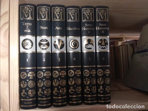 Libros: Historia Natural Marin (6 tomos) - Foto 1