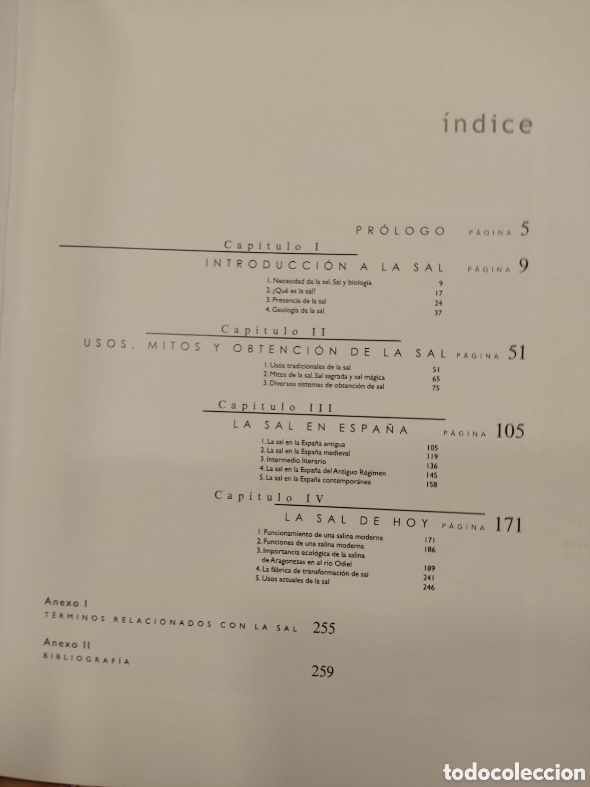 Libros: La sal/ Cesar Bordons Alba/ EIA, 2002 - Foto 3