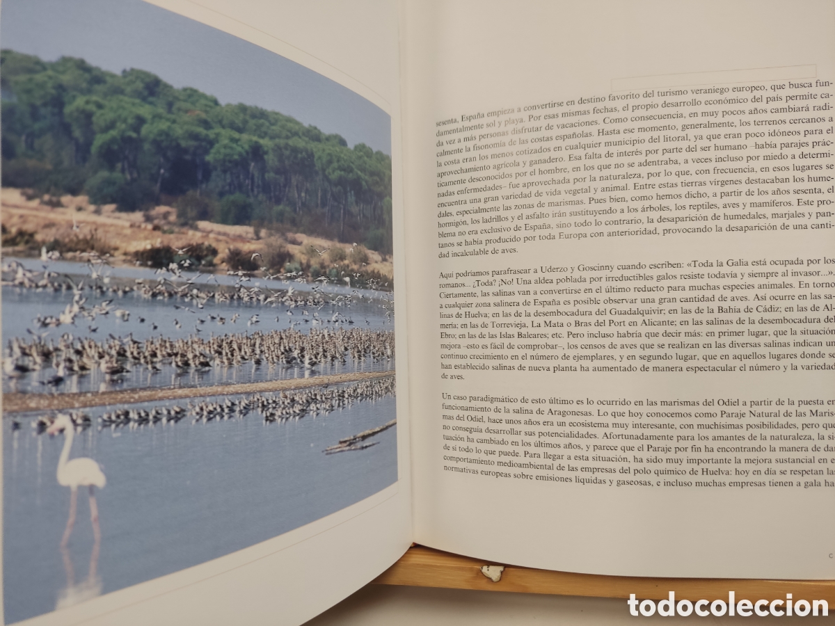 Libros: La sal/ Cesar Bordons Alba/ EIA, 2002 - Foto 4