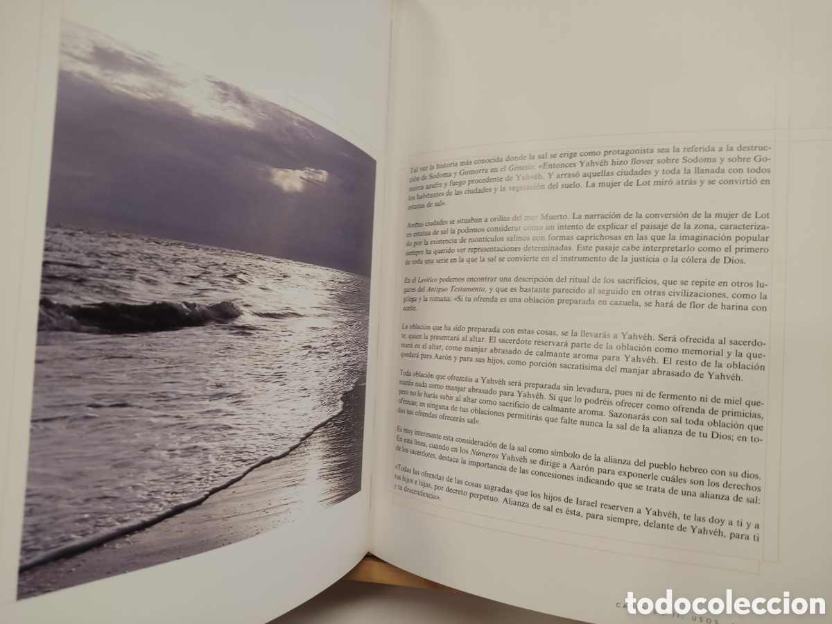 Libros: La sal/ Cesar Bordons Alba/ EIA, 2002 - Foto 5