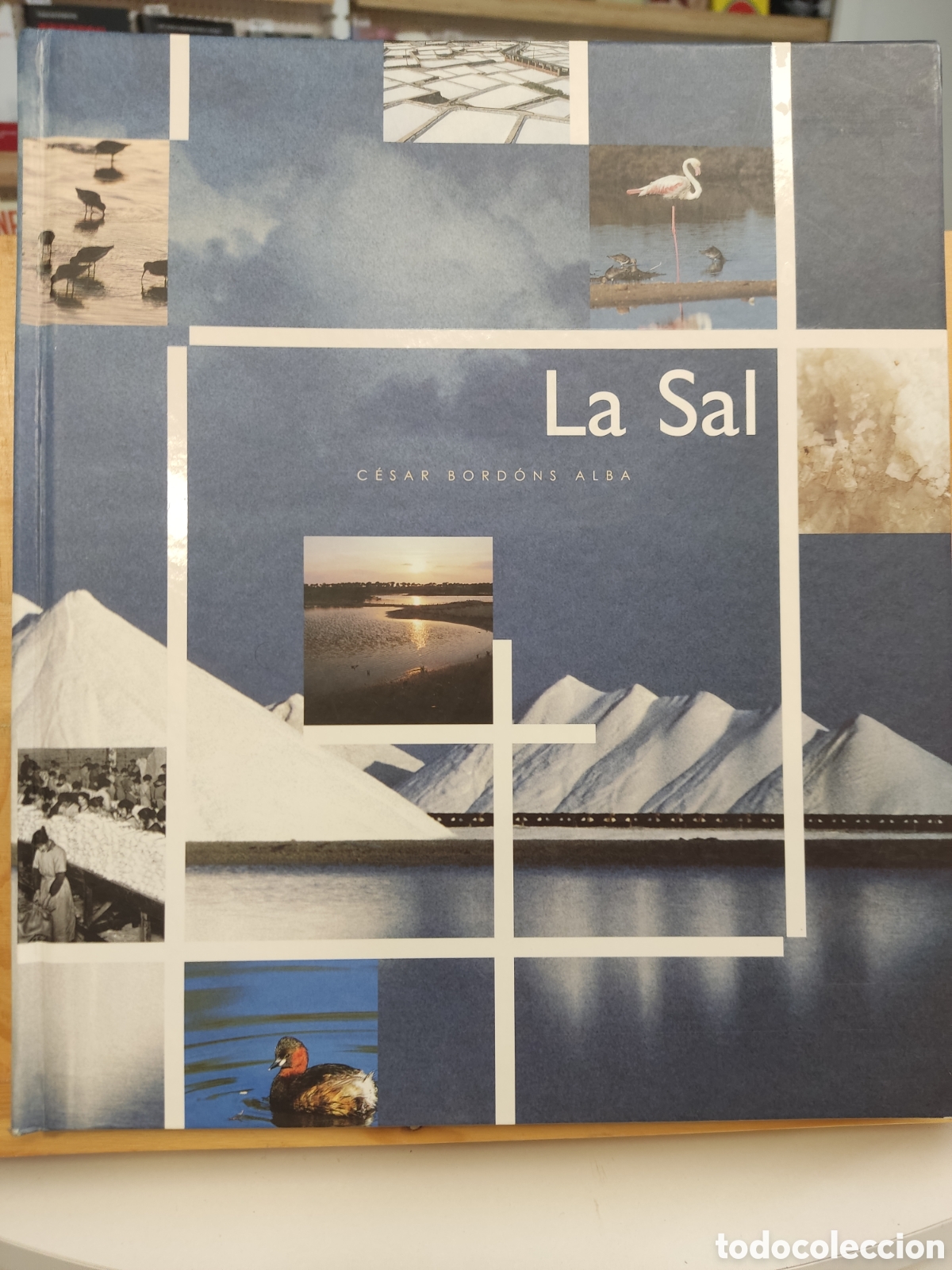 Libros: La sal/ Cesar Bordons Alba/ EIA, 2002 - Foto 1