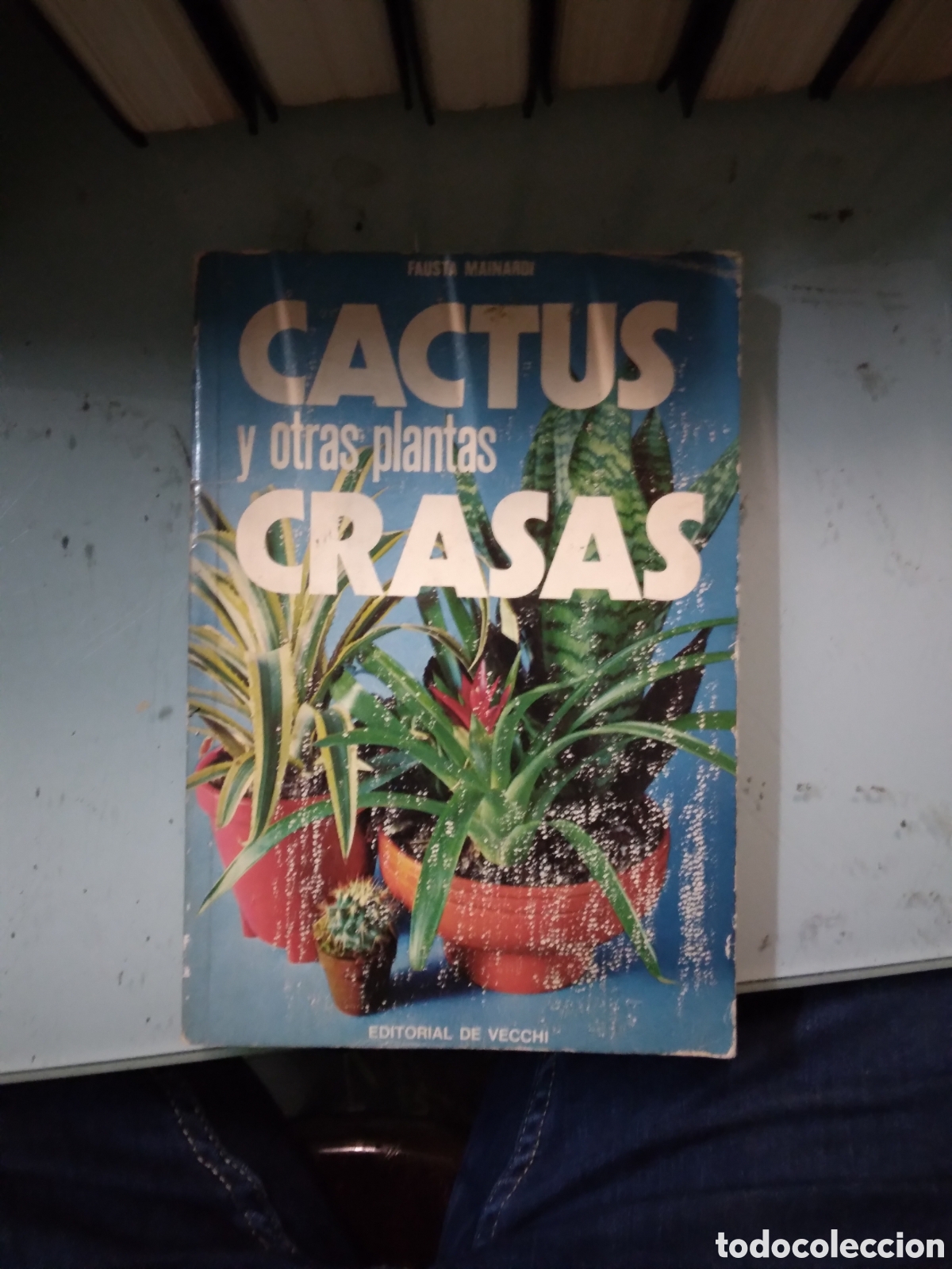Libros: Fausto Mainardi, Cactus y otras plantas casas,Vecchi - Foto 1