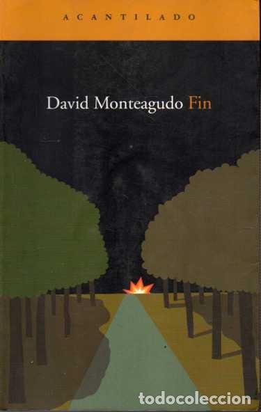 Libros: FIN. - MONTEAGUDO, David. - Foto 1