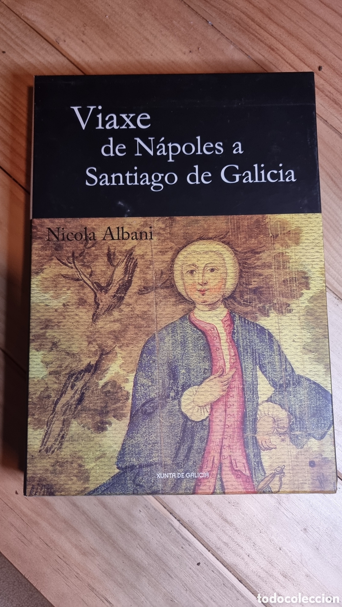 Libros: VIAXE DE NAPOLES A SANTIAGO DE GALICIA
