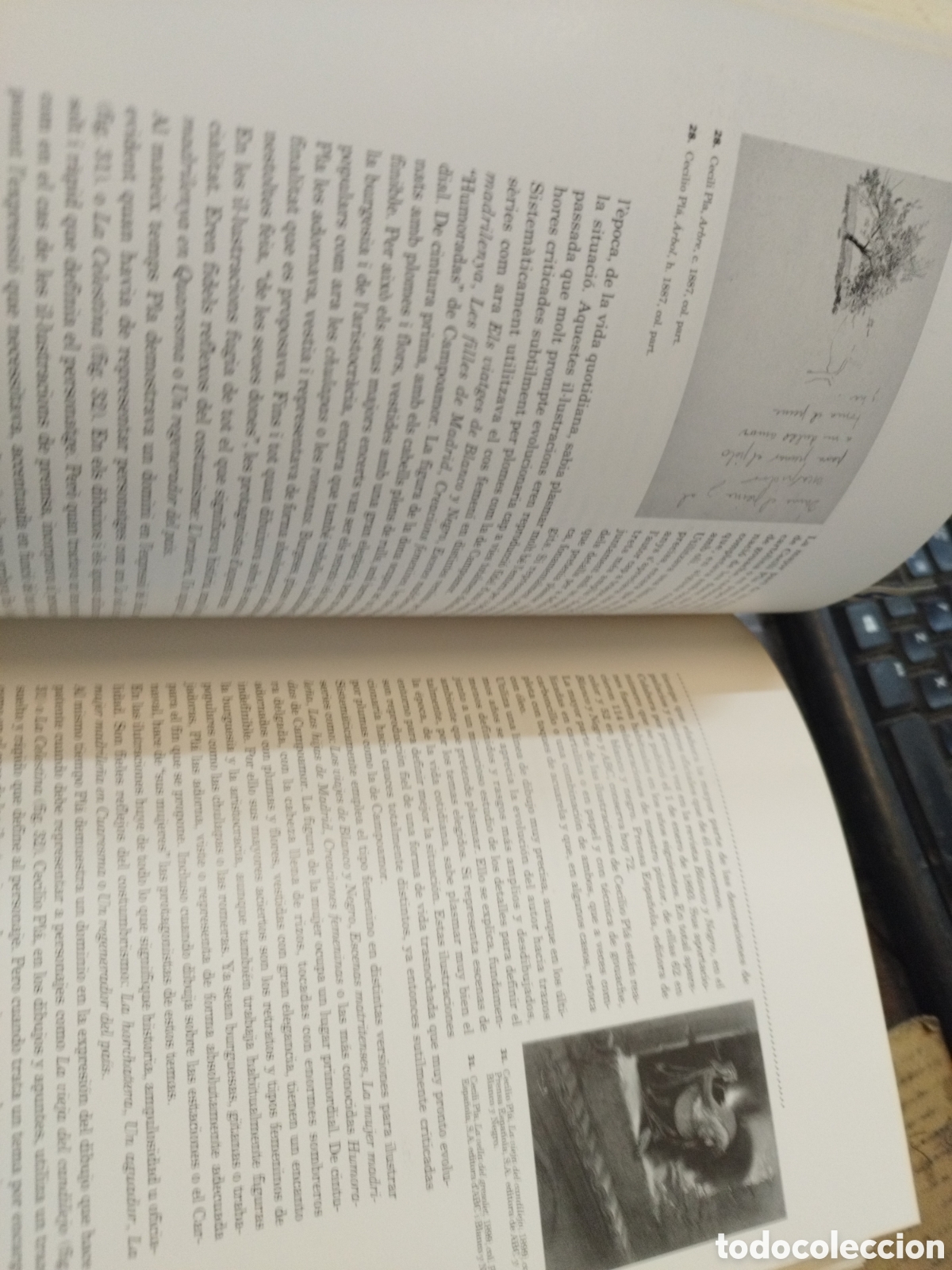 Libros: CECILIO PLA - VVAA. - Foto 11