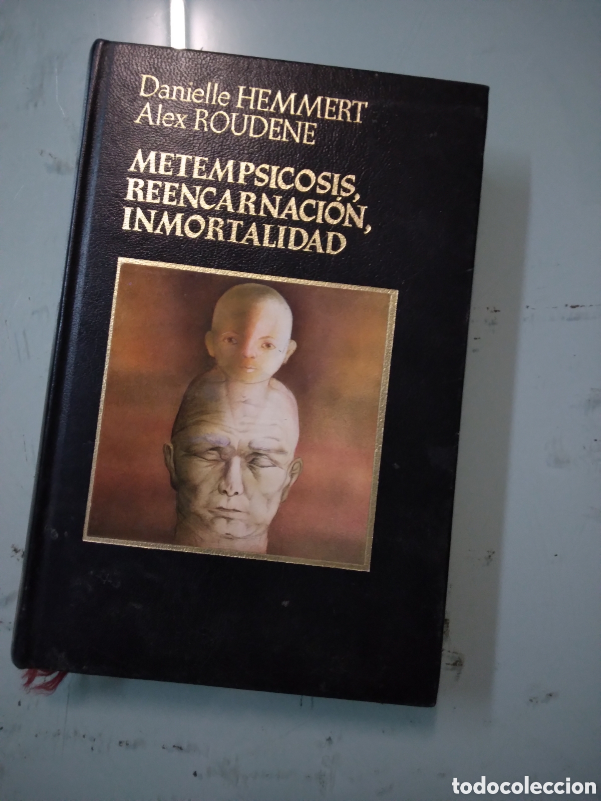 Libros: Danielle Hemmert, Metempsicosis, reencarnaci&oacute;n, inmortalidad - Foto 1
