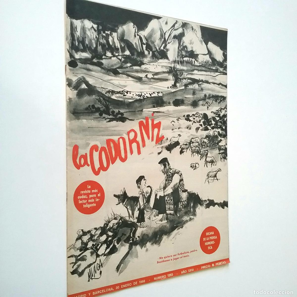 Libros: VV. AA. - La Codorniz. A&ntilde;os XXVI. N&uacute;m. 1263. 1966 - Foto 1