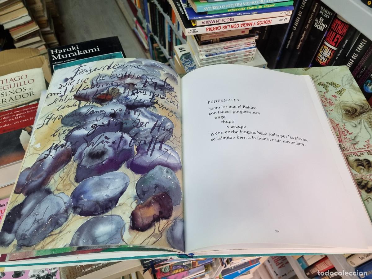 Libros: HALLAZGOS PARA NO LECTORES (Gunter Grass) - Foto 6