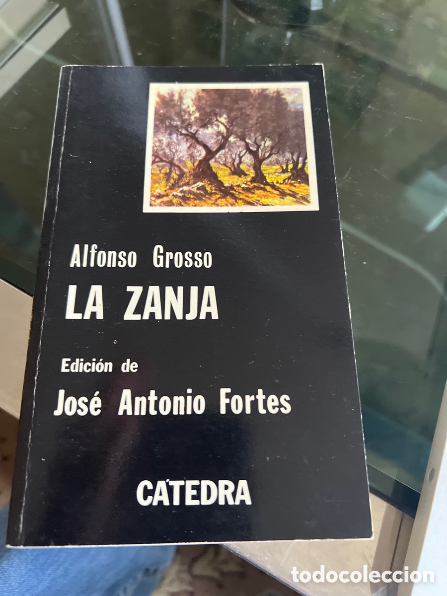 Libros: La zanja. Alfonso Grosso. C&aacute;tedra. - Foto 1