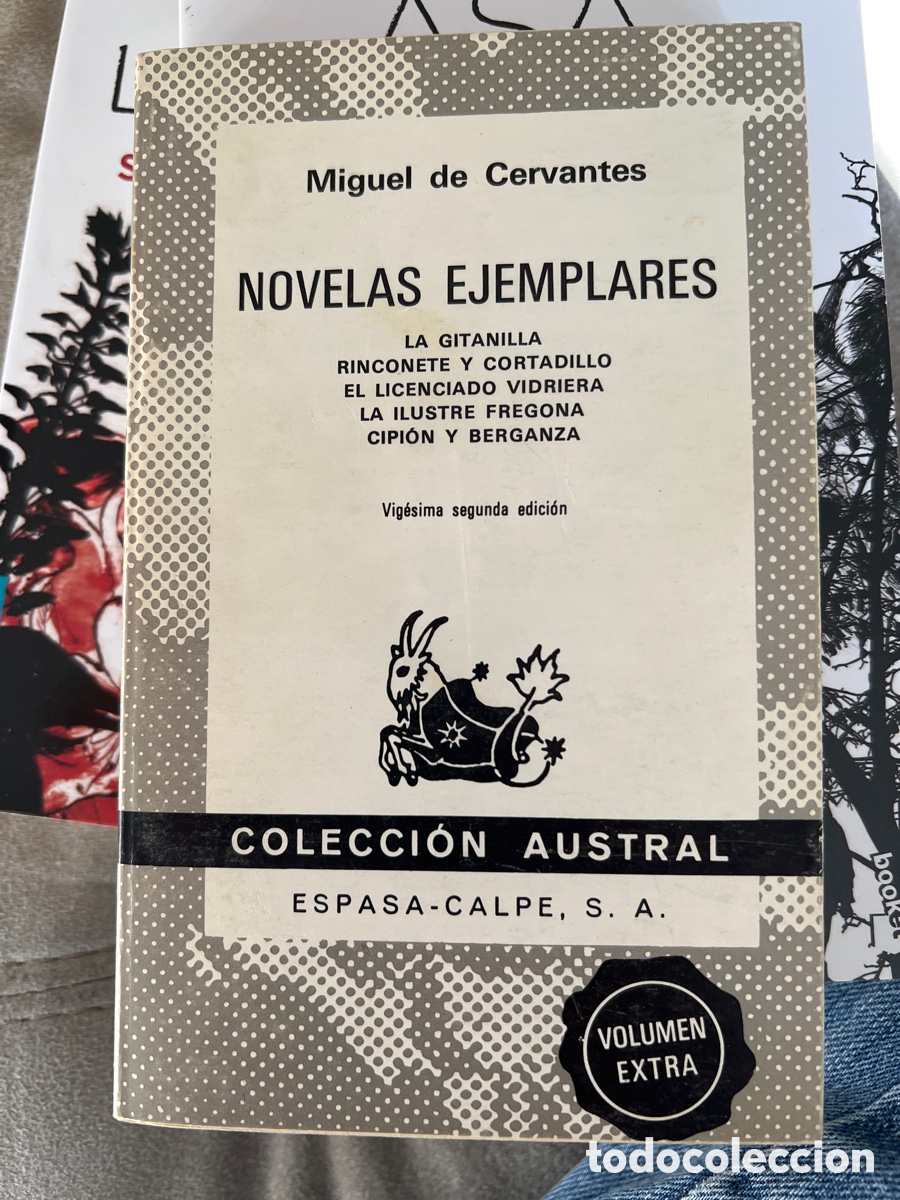 Libros: Novelas ejemplares. Cervantes. Espasa-Calpe. - Foto 1