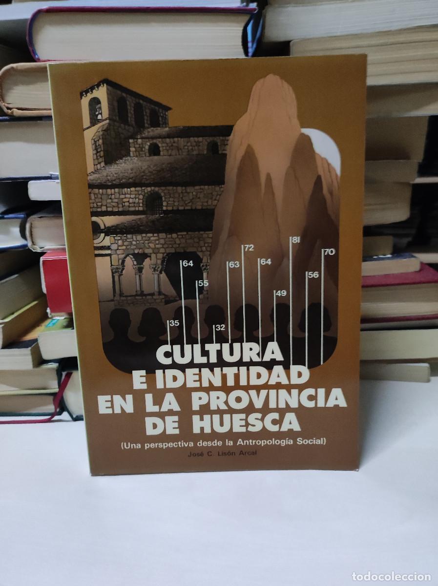 Libros: CULTURA E IDENTIDAD EN LA PROVINCIA DE HUESCA, UNA PERSPECTIVA DESDE LA ANTROPOLOG&Iacute;A SOCIAL